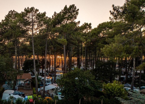 Camping Le Vieux Port, 5* - 81