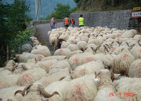 Camping Le Rey, 3* - 43