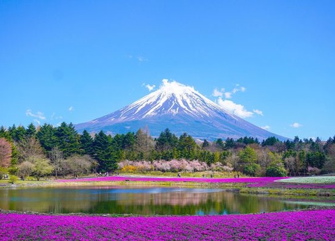 Merveilles du Japon & Alpes Japonaises & Extension Tokyo 15J/12N - 2026 - Limité à 24 pers. - 12