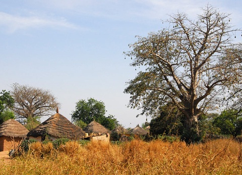 Circuit Privilège Sénégal en privatif - 13