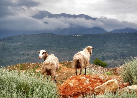 Autotour Crète 3* - 3