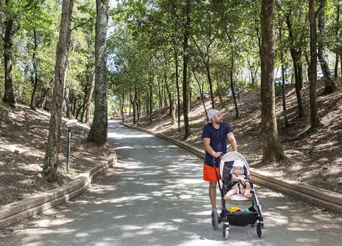 hu Montescudaio village, 3* - 63