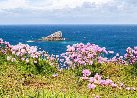 Camping Mirabel Les Mielles, 4* - 34