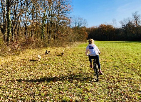 Domaine d'Escapa, 4* - 64