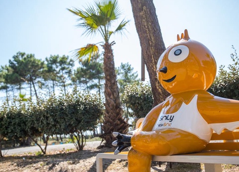 Camping Le Vieux Port, 5* - 52