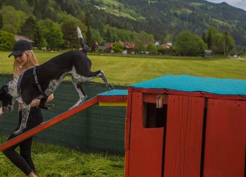 Camping Bella Austria, 4* - 13