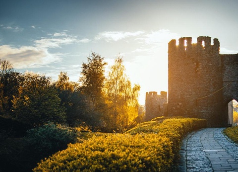 Camping La Berge Fleurie, 4* - 42