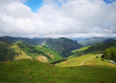 Camping Landes Azur, 4* - 39