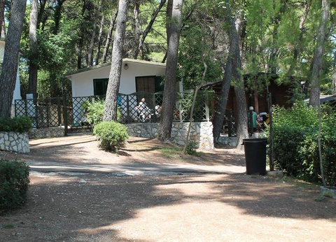 Camping Internazionale San Menaio, 4* - 10