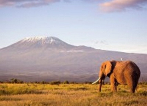 Circuit Punda Milia - De Nairobi A Mombasa - 7