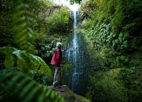 Circuit Ode verte à Madère Randonnées au fil des levadas et des forêts mystiques **** - 4