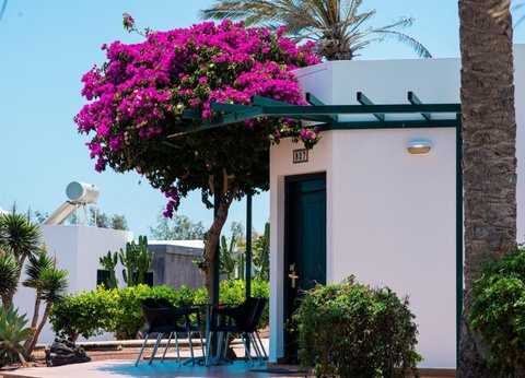 Hôtel Club Playa Blanca 4* - 11