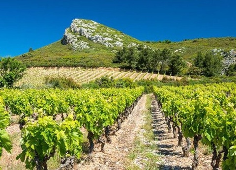 Camping Le Pinada, 3* - 42