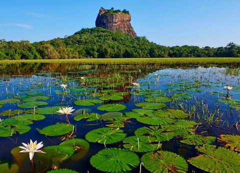 Carpe Diem au Sri Lanka - 8