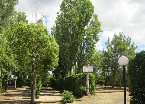 Camping Le Rebau, 3* - 9