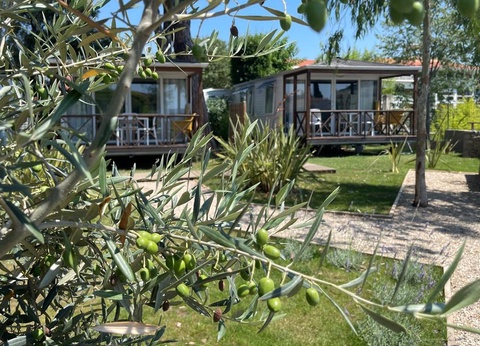 Camping Les Cigales, 4* - 10