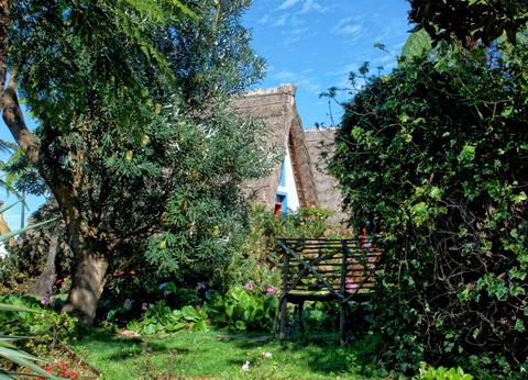 Circuit Ode verte à Madère Randonnées au fil des levadas et des forêts mystiques **** - 8