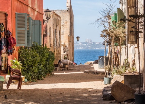 Circuit Beautés et sensations en pays Bassari *** - 10