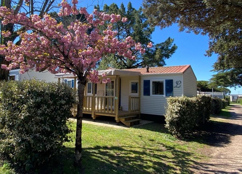 Camping Ostrea, 4* - 5