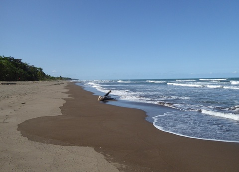 Circuit entre Jungles et Forêts du Costa Rica + extension Playa Samara - 40