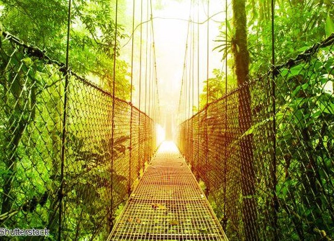 2025/2026 - Autotour De Tortuguero aux plages du Pacifique Vols flexi - 2