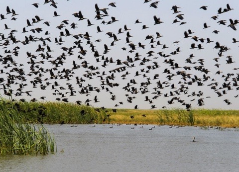 Circuit Authentique Sénégal, pays de la Teranga - 10