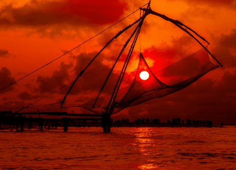 Circuit Merveilles du Kerala en Privatif - 31