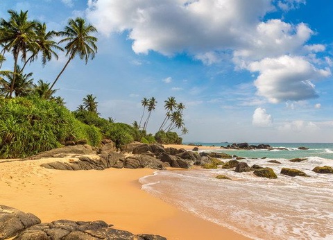 Circuit Carpe Diem au Sri Lanka - 23