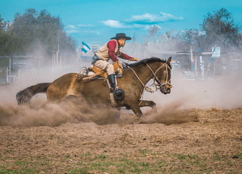 Circuit Tango, Pampa et Terre de Feu - 18