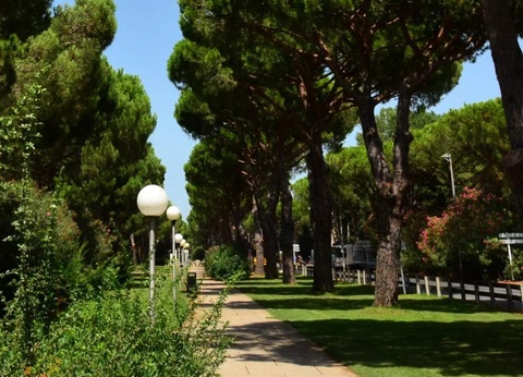 Camping Maïana Resort, 4* - 37