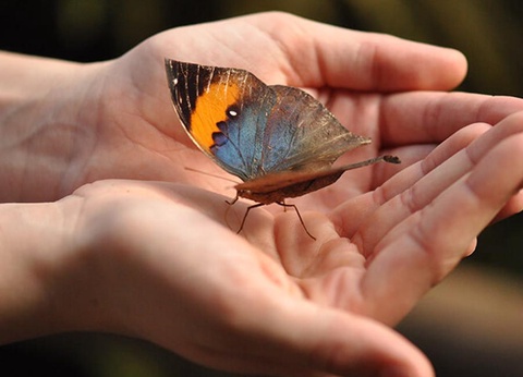 Camping La Tamarissière, 4* - 28