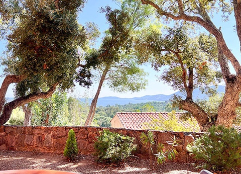 Résidence Royal Palm 3* - 18