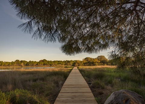 Résidence Paesolu di Pinarello 4* (vols réguliers) - 5