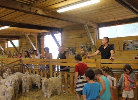 Camping maeva Escapades Au P'tit Bonheur, 3* - 29