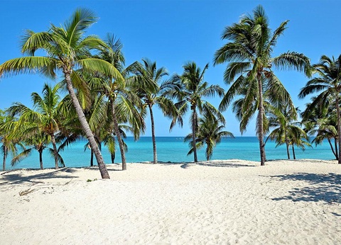 Melia Varadero by Ôvoyages 5* - 15