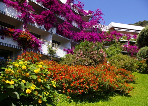 Hôtel Le Pietracap 3* (sans transport) - 7