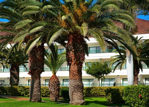 Hôtel Hipotels Natura Palace 4* - Adult Only - 17