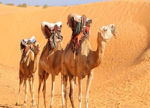 Circuit Mythes et Charmes du Sénégal 3* - 3