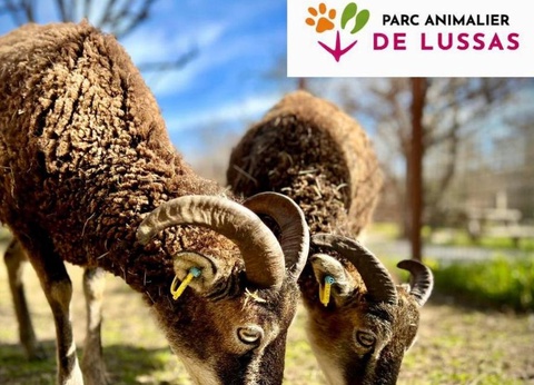 Camping Ludo Parc Pausado, 3* - 25