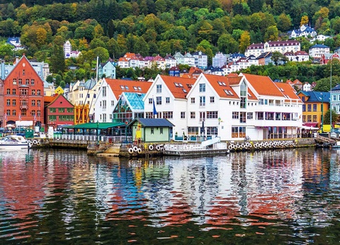 Circuit La Norvège du Sud et ses fjords en train et bateau - 15