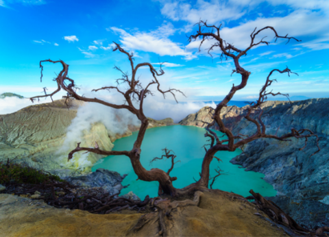 Circuit Lotus de Bali et Plage - 21