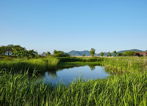 Circuit Entre temples et montagnes - 11