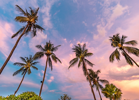 Circuit Panorama Balinais Charme et Privatif - 25