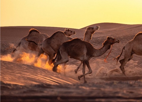 Circuit De Terre d'Encens à Terre de Mirages - 8