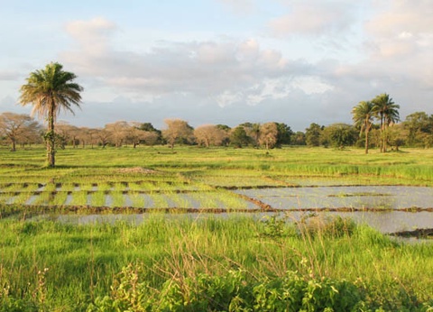 Circuit Sud Sénégal - 6