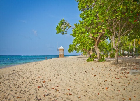 Résidence Tropicale - 11