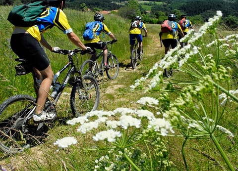 Camping Le Pont d'Allagnon, 3* - 5