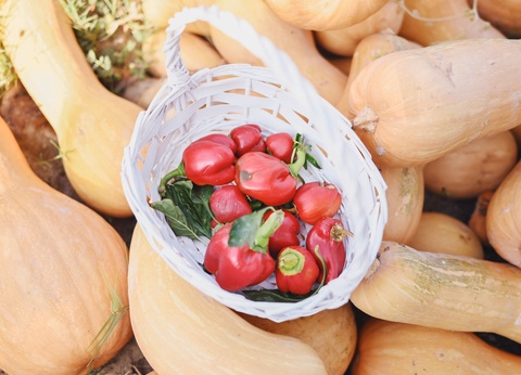 Grecotel Creta Palace 5* - 13