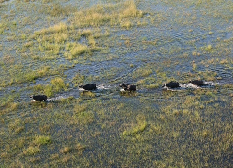 Circuit Éclats de l'Afrique australe **** - 18