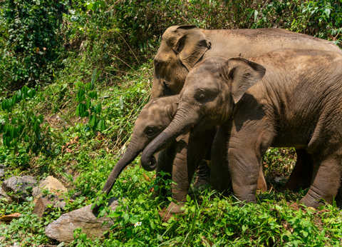 Circuit Thaïlande Insolite, à la rencontre des Tribus du Nord - 23